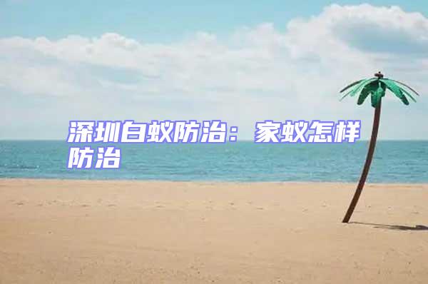 深圳白蟻防治：家蟻怎樣防治