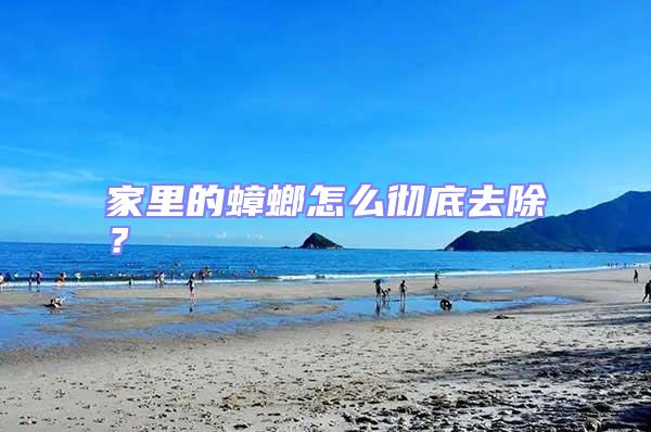 家里的蟑螂怎么徹底去除？