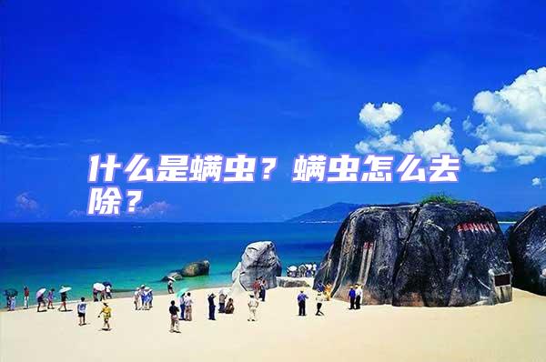 什么是螨蟲？螨蟲怎么去除？