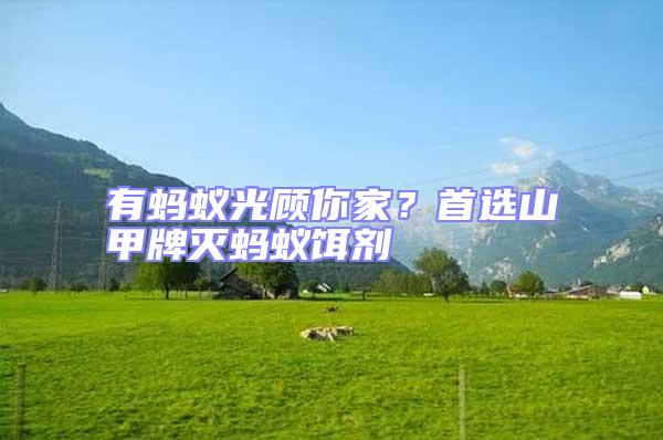 有螞蟻光顧你家？首選山甲牌滅螞蟻餌劑