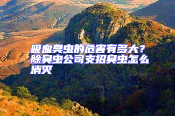 吸血臭蟲的危害有多大？除臭蟲公司支招臭蟲怎么消滅