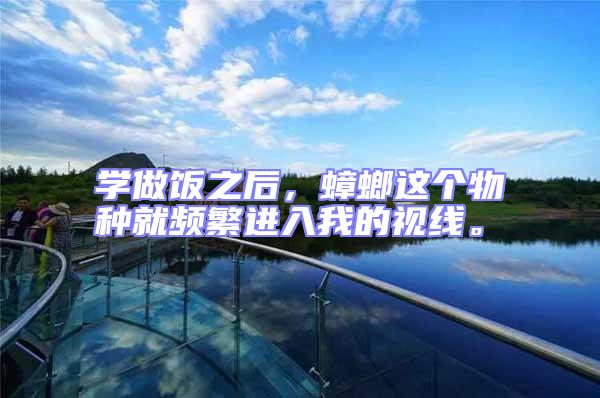 學(xué)做飯之后，蟑螂這個(gè)物種就頻繁進(jìn)入我的視線。