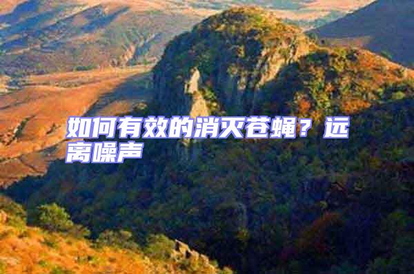 如何有效的消滅蒼蠅？遠(yuǎn)離噪聲