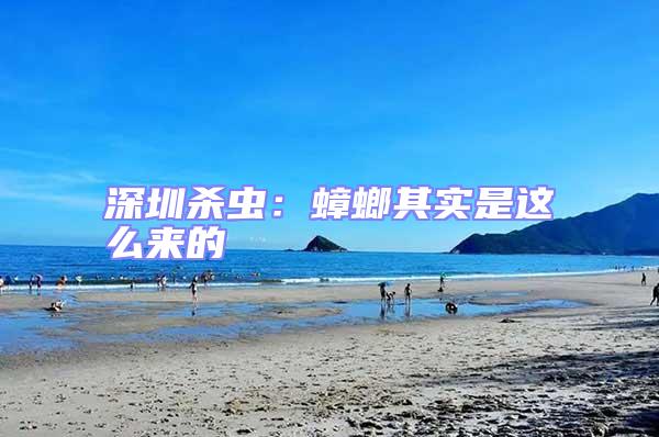 深圳殺蟲：蟑螂其實(shí)是這么來的