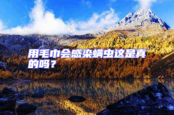 用毛巾會感染螨蟲這是真的嗎？