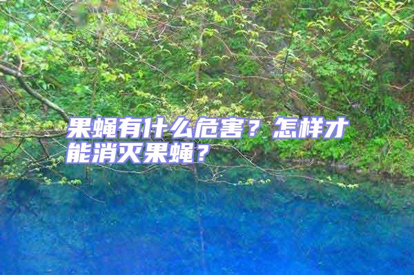 果蠅有什么危害？怎樣才能消滅果蠅？
