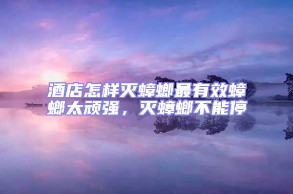 酒店怎樣滅蟑螂最有效蟑螂太頑強(qiáng)，滅蟑螂不能停