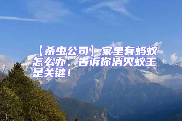 【殺蟲公司】家里有螞蟻怎么辦，告訴你消滅蟻王是關(guān)鍵！