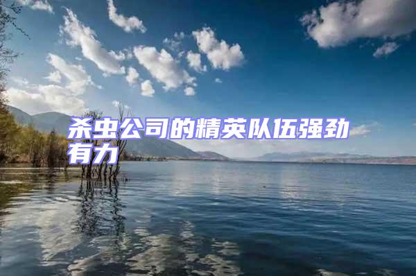 殺蟲公司的精英隊(duì)伍強(qiáng)勁有力