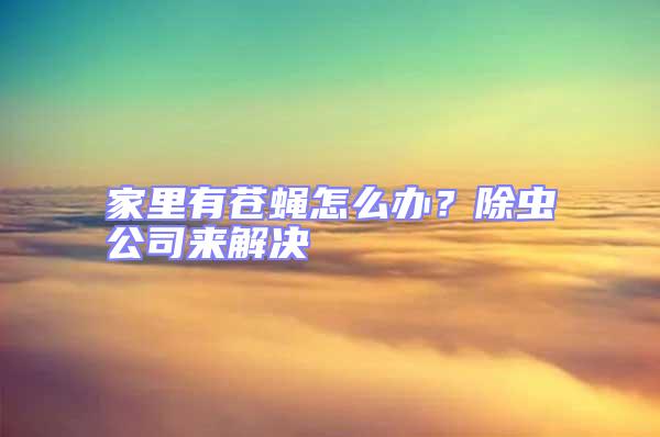家里有蒼蠅怎么辦？除蟲公司來解決