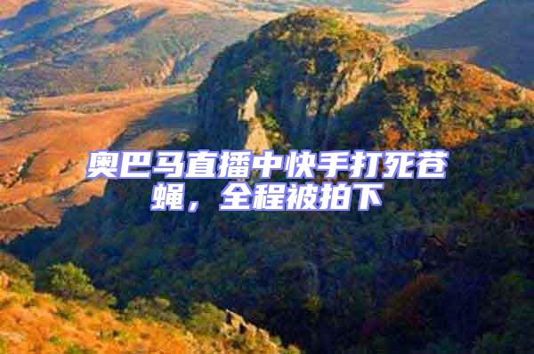 奧巴馬直播中快手打死蒼蠅，全程被拍下