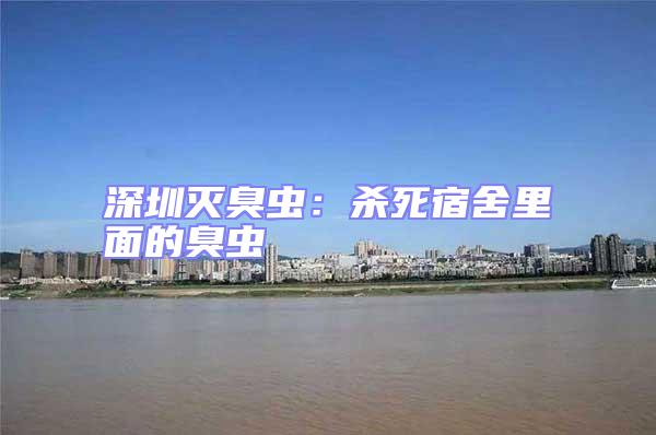 深圳滅臭蟲：殺死宿舍里面的臭蟲