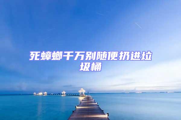 死蟑螂千萬別隨便扔進(jìn)垃圾桶