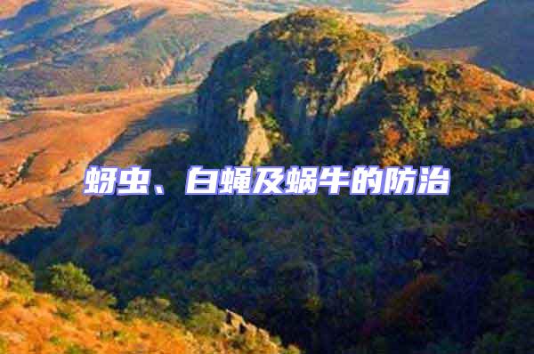 蚜蟲、白蠅及蝸牛的防治