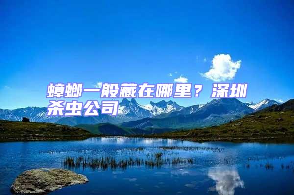 蟑螂一般藏在哪里？深圳殺蟲公司