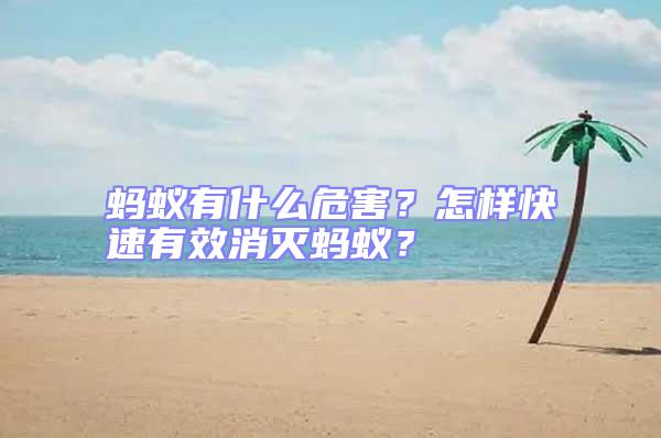 螞蟻有什么危害？怎樣快速有效消滅螞蟻？
