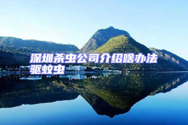 深圳殺蟲(chóng)公司介紹啥辦法驅(qū)蚊蟲(chóng)