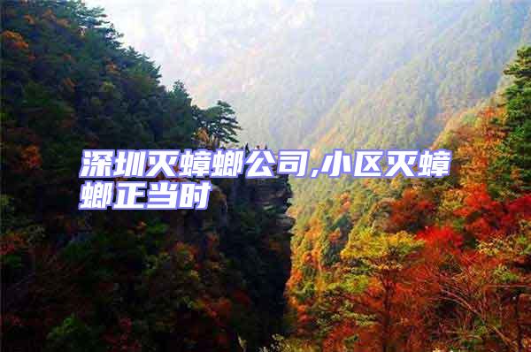 深圳滅蟑螂公司,小區(qū)滅蟑螂正當時