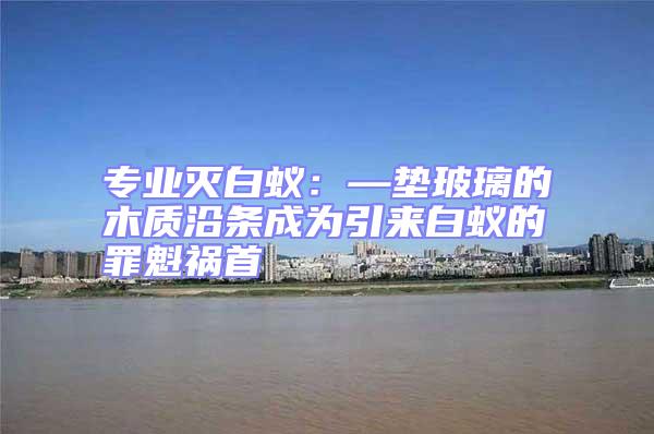 專業(yè)滅白蟻：—墊玻璃的木質(zhì)沿條成為引來白蟻的罪魁禍?zhǔn)?/></p>
									<p style=