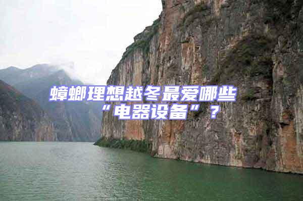 蟑螂理想越冬最愛哪些“電器設(shè)備”？