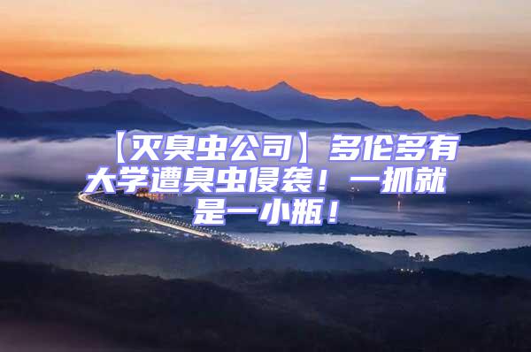 【滅臭蟲公司】多倫多有大學(xué)遭臭蟲侵襲！一抓就是一小瓶！