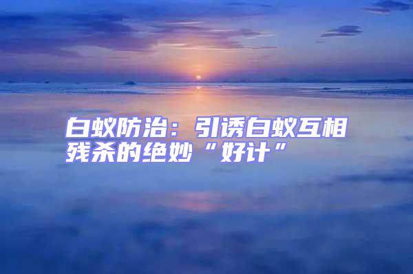 白蟻防治：引誘白蟻互相殘殺的絕妙“好計(jì)”