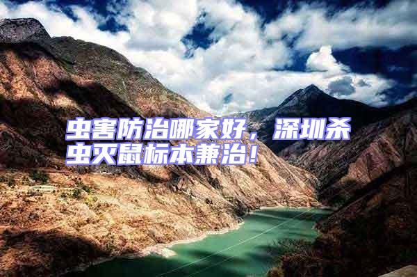 蟲害防治哪家好，深圳殺蟲滅鼠標(biāo)本兼治！