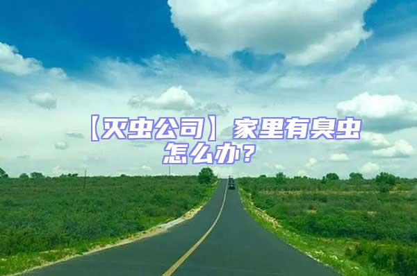 【滅蟲(chóng)公司】家里有臭蟲(chóng)怎么辦?