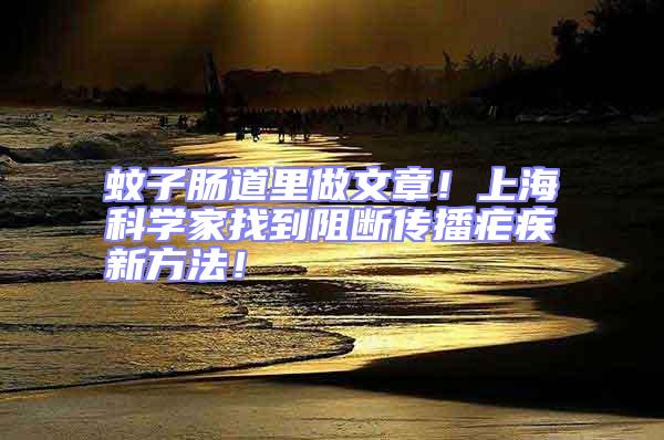 蚊子腸道里做文章！上?？茖W(xué)家找到阻斷傳播瘧疾新方法！