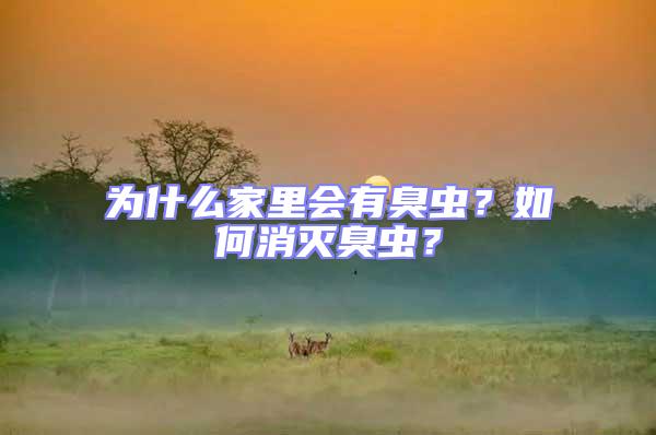 為什么家里會有臭蟲？如何消滅臭蟲？