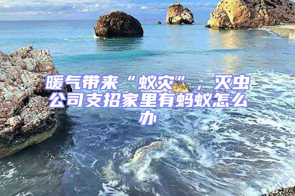 暖氣帶來“蟻災(zāi)”，滅蟲公司支招家里有螞蟻怎么辦