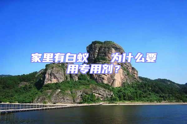 家里有白蟻   為什么要用專用劑？
