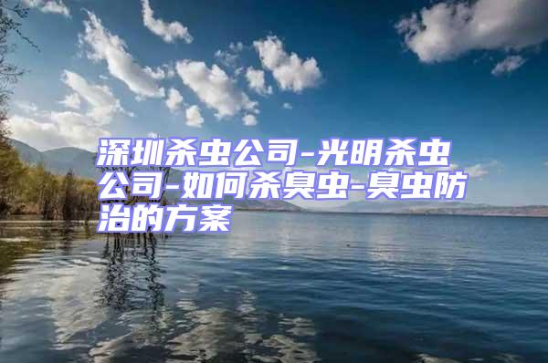 深圳殺蟲(chóng)公司-光明殺蟲(chóng)公司-如何殺臭蟲(chóng)-臭蟲(chóng)防治的方案