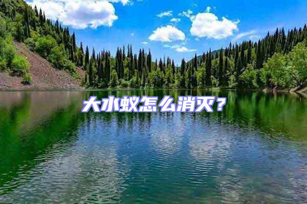 大水蟻怎么消滅？