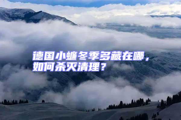 德國小蠊冬季多藏在哪，如何殺滅清理？