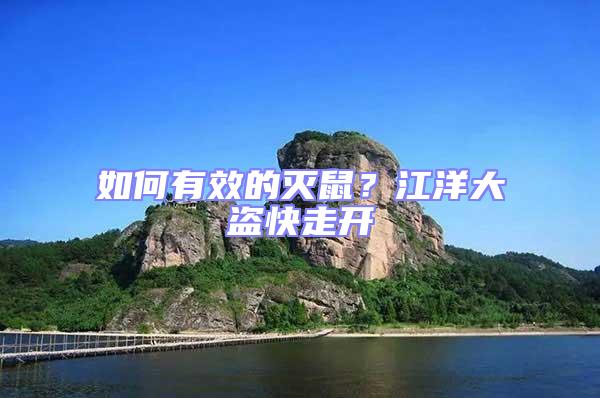 如何有效的滅鼠？江洋大盜快走開(kāi)