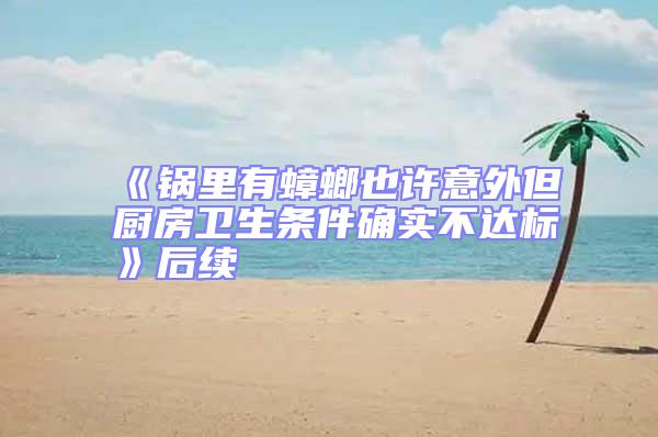 《鍋里有蟑螂也許意外但廚房衛(wèi)生條件確實不達標》后續(xù)