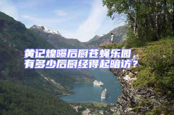 黃記煌曝后廚蒼蠅樂(lè)園， 有多少后廚經(jīng)得起暗訪？