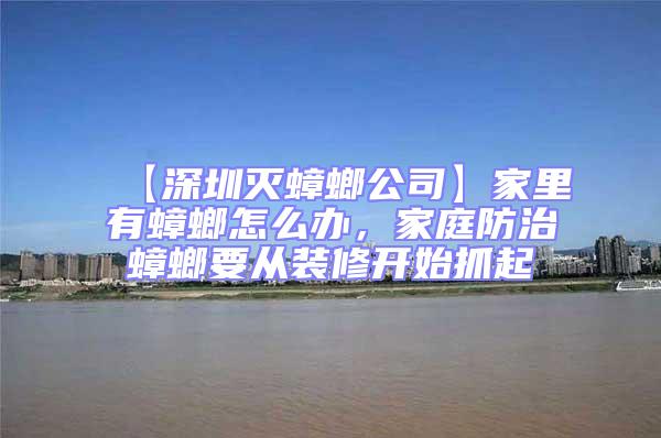 【深圳滅蟑螂公司】家里有蟑螂怎么辦，家庭防治蟑螂要從裝修開始抓起