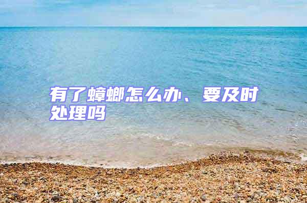 有了蟑螂怎么辦、要及時處理嗎