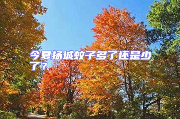 今夏揚(yáng)城蚊子多了還是少了？