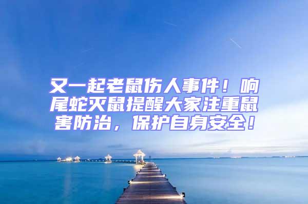 又一起老鼠傷人事件！響尾蛇滅鼠提醒大家注重鼠害防治，保護自身安全！