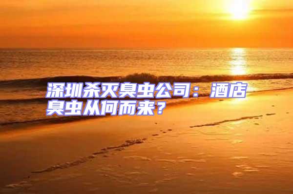 深圳殺滅臭蟲(chóng)公司：酒店臭蟲(chóng)從何而來(lái)？