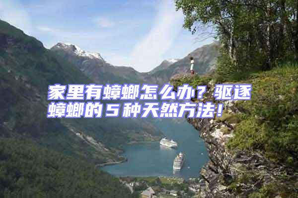 家里有蟑螂怎么辦？驅(qū)逐蟑螂的５種天然方法！