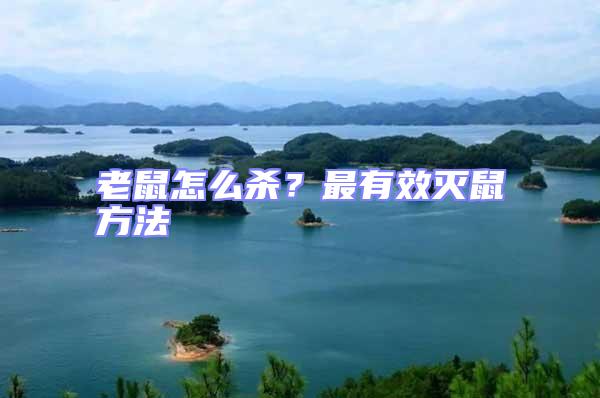 老鼠怎么殺？最有效滅鼠方法