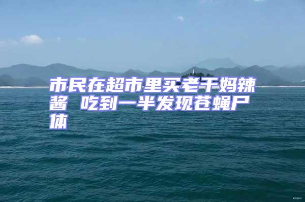 市民在超市里買老干媽辣醬 吃到一半發(fā)現(xiàn)蒼蠅尸體