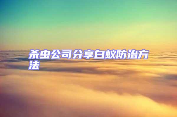 殺蟲公司分享白蟻防治方法