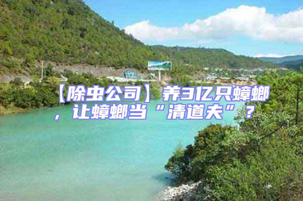 【除蟲公司】養(yǎng)3億只蟑螂，讓蟑螂當(dāng)“清道夫”？