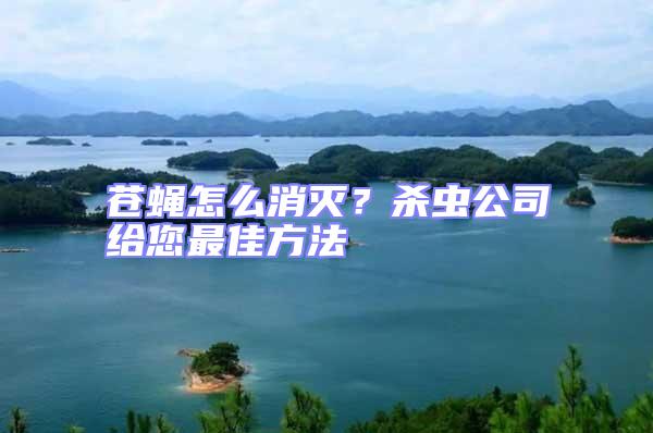 蒼蠅怎么消滅？殺蟲(chóng)公司給您最佳方法