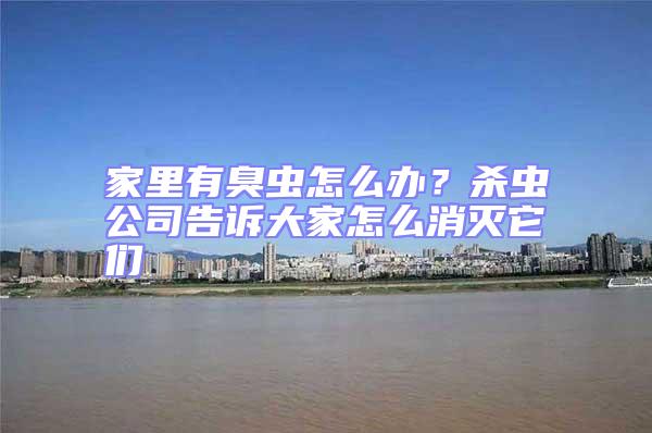 家里有臭蟲怎么辦？殺蟲公司告訴大家怎么消滅它們